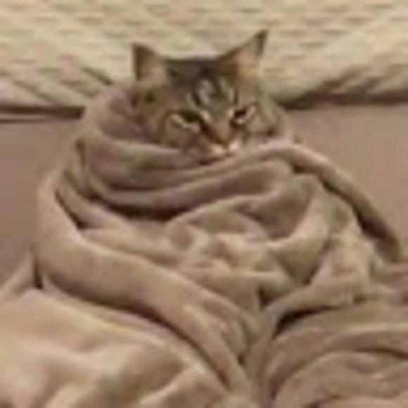 Meet your Posher, Epona - Picture 1 of 1